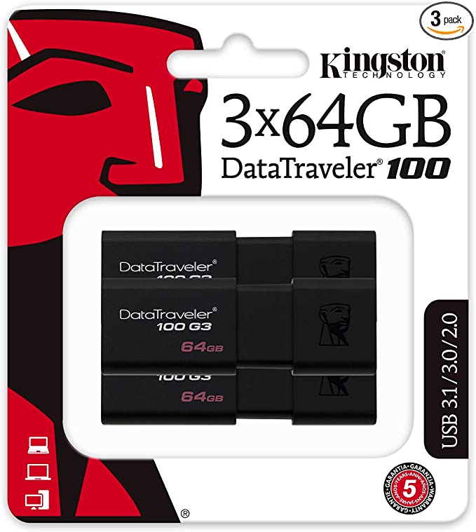 Flash memory de kingston